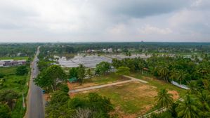 වෛද්‍ය පීඨයට ආසන්නයෙන් සින්නක්කර බිම්කොටස් විකිණීමට
