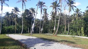 මාතලේ පාලාපත්වලින් අගනා බිමි කොටසක්