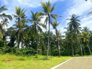 Mirigama නගරයෙන් ඔබේ නිවහන ඉදිකර ගන්න අදම බිම් කොටසක් මීලදි
