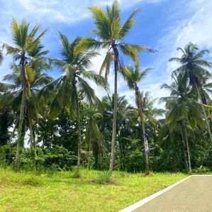 Mirigama නගරයෙන් ඔබේ නිවහන ඉදිකර ගන්න අදම බිම් කොටසක් මීලදි - Image 2