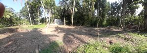 Residential 16 Perch Land for Sale in Pilliyandala