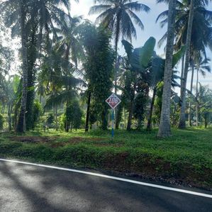 හෝමාගම තලගල බිම් කොටස් විකිණීමට - Image 2