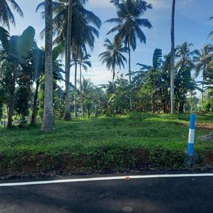 හෝමාගම තලගල බිම් කොටස් විකිණීමට - Image 3