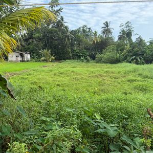 Prime Paddy Land with Owita for Sale in Pannipitiya – 146 Perches - Image 3
