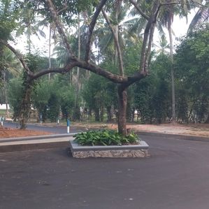 යක්කල නගරයෙන්ම සුපිරි තැනක් - Image 3
