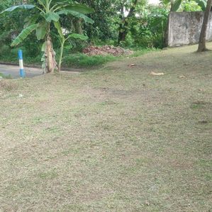 Thalahena, super RESIDENTIAL LAND for sale in Uyana Mawatha - Image 2