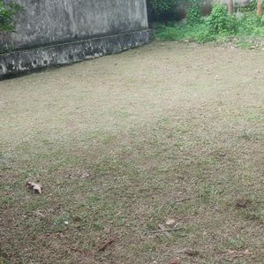 Thalahena, super RESIDENTIAL LAND for sale in Uyana Mawatha - Image 3