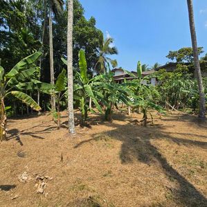 8P Residential Bare Land For Sale In Kesbewa - Image 3