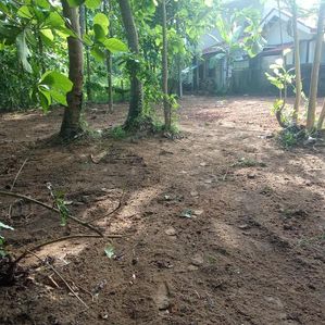 Maravila Godawela Valuable Land Plots for Sale - Image 3