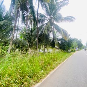 40P Superb Land Facing Kirindiwela – Weliweriya Main Rd - Image 3