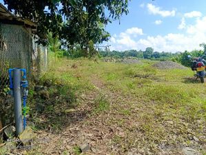 Paddy field Location Land for sale in meepa