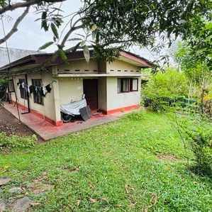Land with Single Storey House for Sale in Battaramulla - Image 3