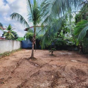 පර්.10 ක වටිනා ඉඩම කොට්ටාවෙන් විකිණීමට(AP H78w2O) - Image 2