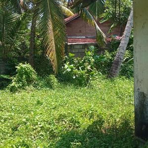 Land for Sale Thudawa - Image 2