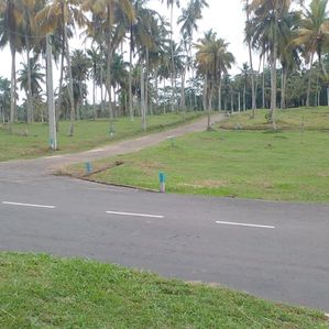 මාතර අලුත් ටවුමට ලගින් - Image 2