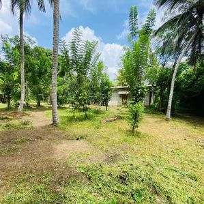 Land for Sale in Bandaragama - Image 2