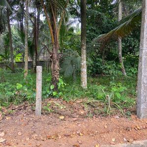 අත්තනගල්ල ප්‍රදේශයෙන් ම වටින්න ඉඩමක් - Image 2