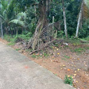 අත්තනගල්ල ප්‍රදේශයෙන් ම වටින්න ඉඩමක් - Image 3