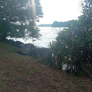 River facing land for sale in kahapola - Image 3
