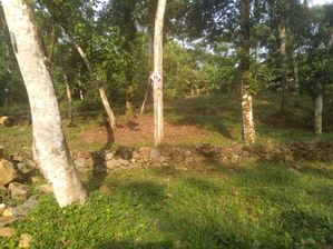 land for sale in Horana - Narthupaana