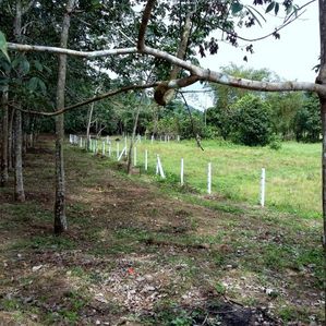 අක්කර කාලක ඉඩමක් හොරණ - Image 2