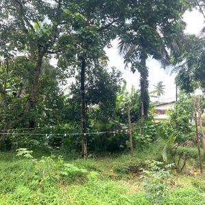 Land for Sale in Kottawa - Image 2