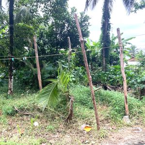 Land for Sale in Kottawa - Image 3
