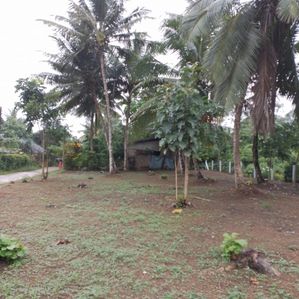 හොරණ තැනකින් පදිංචි වෙමු - Image 2