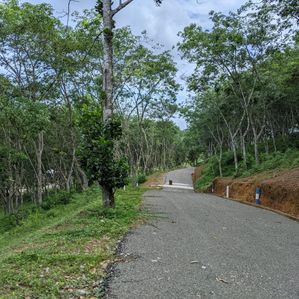 හබරාදුව දික්කුඹුර පාරෙන් පදිංචියට අගනා බිම් කොටස් - Image 2