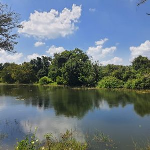 Land for Sale in Sigiriya - Image 2
