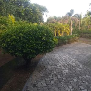 Land for Sale with House Gonapola - Image 2