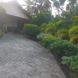 Land for Sale with House Gonapola - Image 3