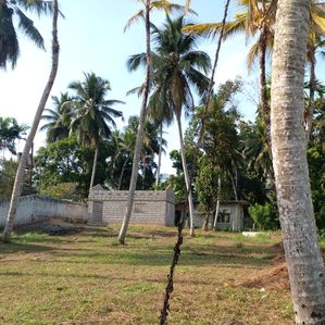 හොරණ බොරලුගොඩින් දැකුම්කළු ඉඩමක් - Image 2