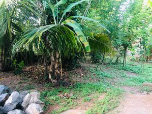 Land for Sale in Prime Malabe Location