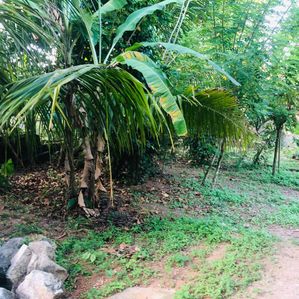Land for Sale in Prime Malabe Location - Image 2