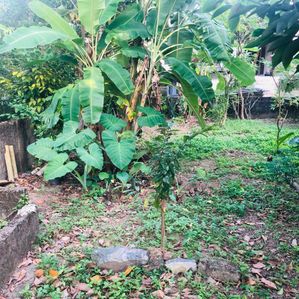 Land for Sale in Prime Malabe Location - Image 3
