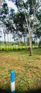 පානදුර නගරයට 04km නිස්කලංක පරිසරයක ඉඩමක් විකිණිමට