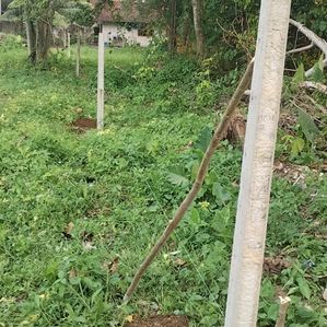 Land for Sale in Matara - Image 2