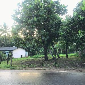 Land for Sale Ragama Kadawatha - Image 2