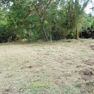 Land for Sale in Gampaha - Image 2