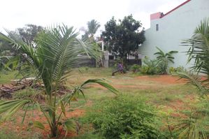 35 Perches - Commercial Land Property Space for Sale Piliyandala CP39759