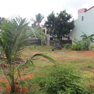35 Perches - Commercial Land Property Space for Sale Piliyandala CP39759 - Image 2