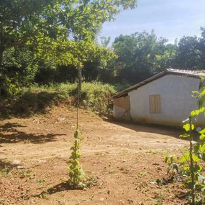 Land and Small House for Sale Nugathawala - Image 3
