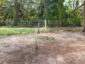 සාලියපුර අසලින් ඉඩමක් විකිනීමට