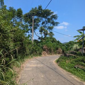 Udugampola ගම්පහ දිස්ත්‍රික්කයෙන් අක්කර 5ක ඉඩමක් විකිණිමට - Image 2