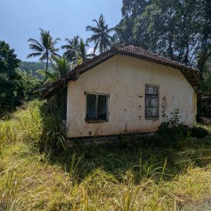 Udugampola ගම්පහ දිස්ත්‍රික්කයෙන් අක්කර 5ක ඉඩමක් විකිණිමට - Image 3