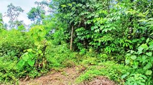 LAND FOR SALE ALAWWA DAMPELLASSA ROAD