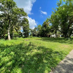 Colombo 10 : 107 Perches Land for Sale facing Darly road - Image 2