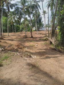 Prime 2-Acre Commercial Land for Sale in Homagama