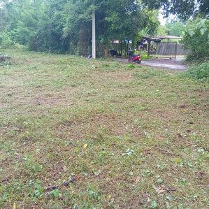 Excellent Land in Panadura for Sale - Image 2